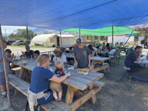 Fridays at Ntamqen Community Garden 